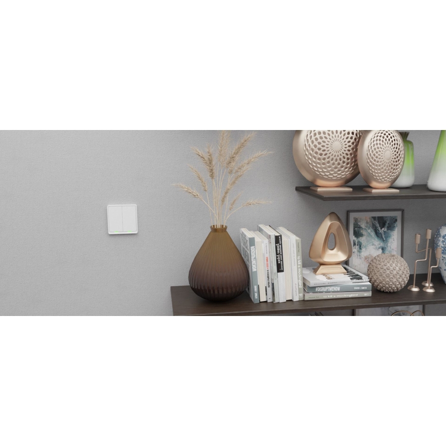 TESLA Smart - Smart home switch 1P 230V Zigbee