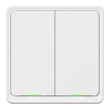 TESLA Smart - Smart home switch 2P 230V Wi-Fi