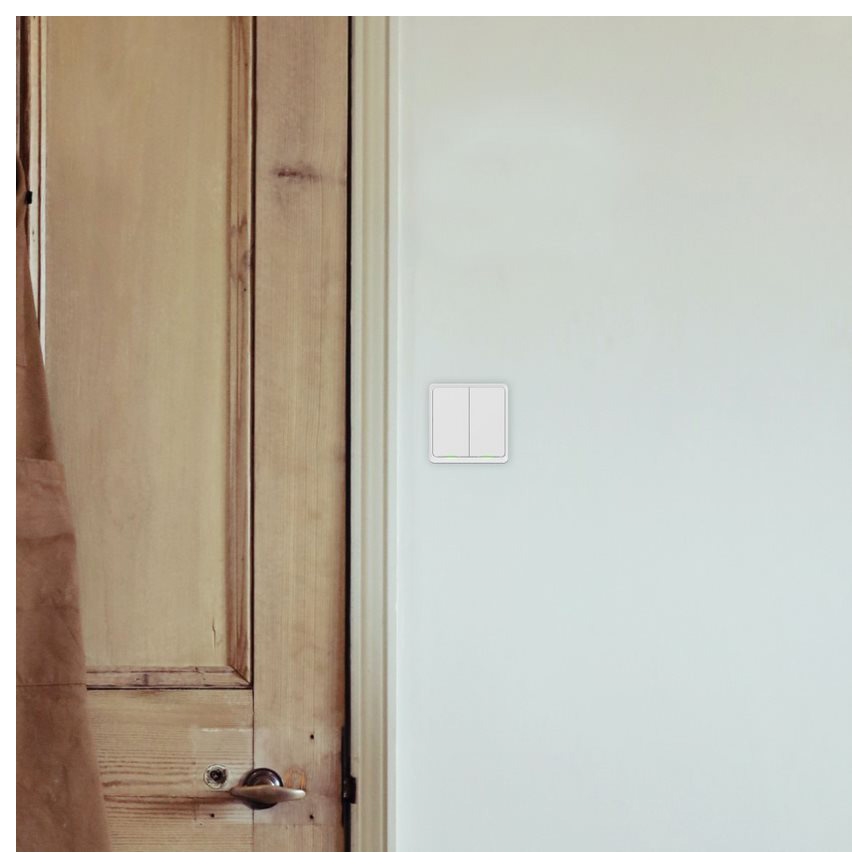 TESLA Smart - Smart home switch 2P 230V Wi-Fi