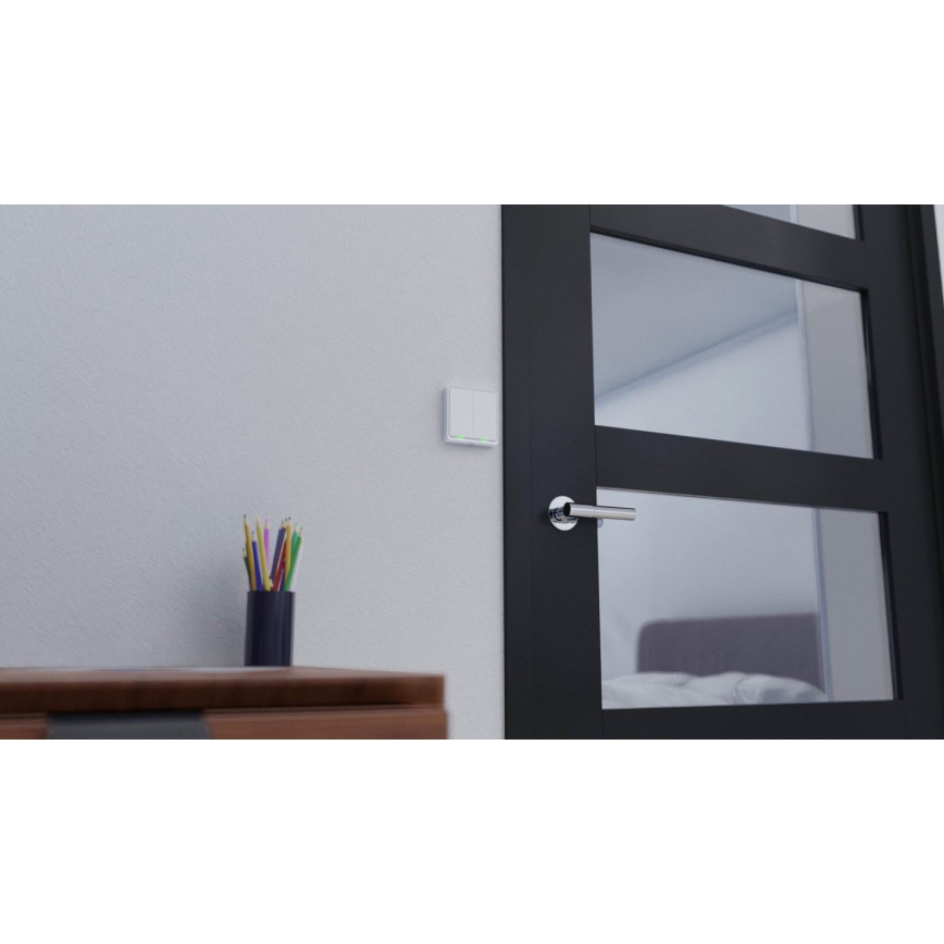 TESLA Smart - Smart home switch 2P 230V Wi-Fi