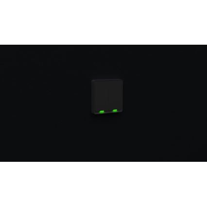 TESLA Smart - Smart home switch 2P 230V Wi-Fi
