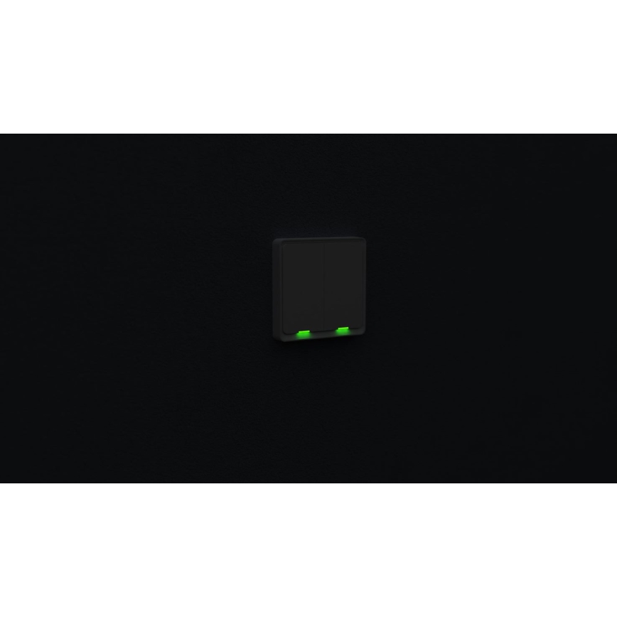 TESLA Smart - Smart home switch 2P 230V Wi-Fi