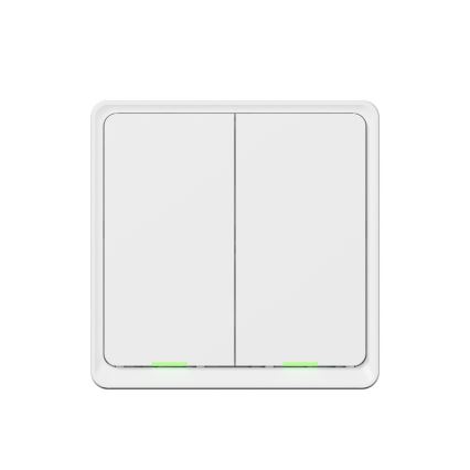 TESLA Smart - Smart home switch 2P 230V Wi-Fi