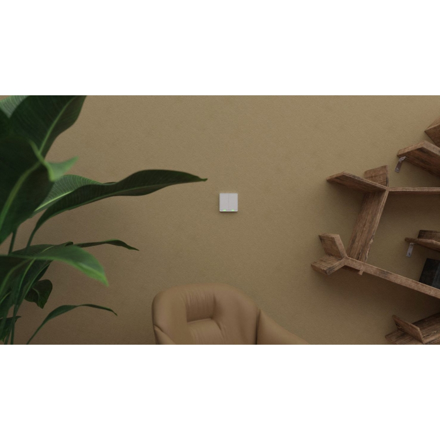 TESLA Smart - Smart wireless home switch 2P 1xCR2430 ZigBee