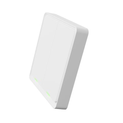 TESLA Smart - Smart wireless home switch 2P 1xCR2430 ZigBee