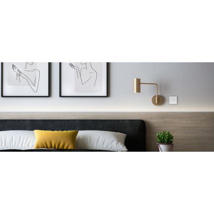 TESLA Smart - Smart wireless home switch 2P 1xCR2430 ZigBee