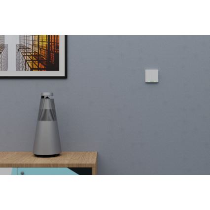 TESLA Smart - Smart wireless home switch 2P 1xCR2430 ZigBee