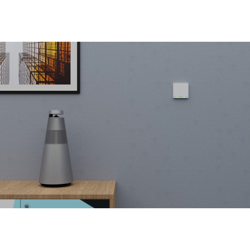 TESLA Smart - Smart wireless home switch 2P 1xCR2430 ZigBee