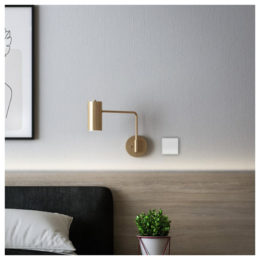 TESLA Smart - Smart wireless home switch 2P 1xCR2430 ZigBee