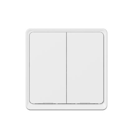TESLA Smart - Smart wireless home switch 2P 1xCR2430 ZigBee