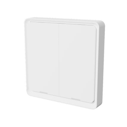 TESLA Smart - Smart wireless home switch 2P 1xCR2430 ZigBee