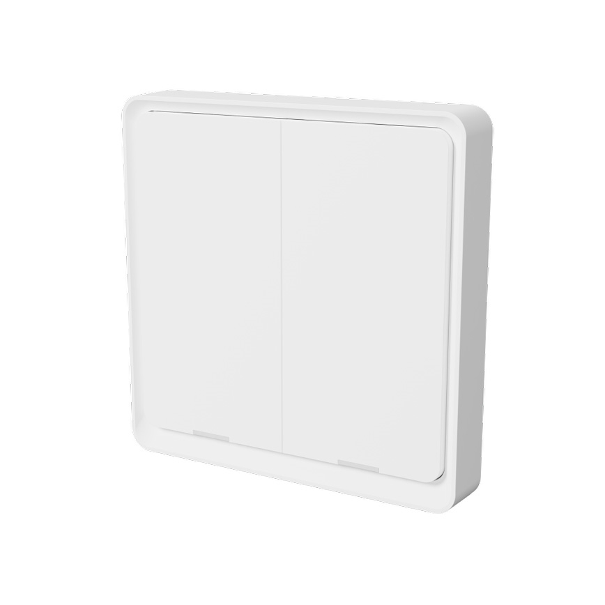 TESLA Smart - Smart wireless home switch 2P 1xCR2430 ZigBee