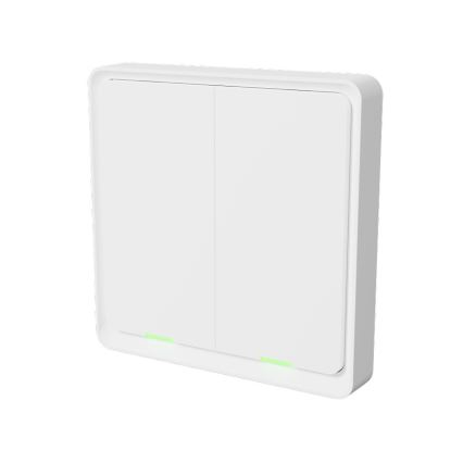 TESLA Smart - Smart wireless home switch 2P 1xCR2430 ZigBee