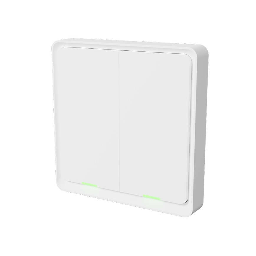 TESLA Smart - Smart wireless home switch 2P 1xCR2430 ZigBee
