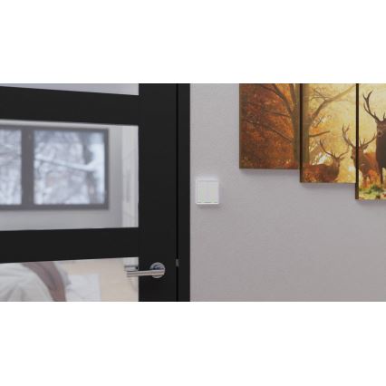 TESLA Smart - Smart wireless home switch 4P 1xCR2430 ZigBee