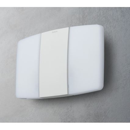theben - LED Wall Floodlight 2xLED/10W/230V White IP55
