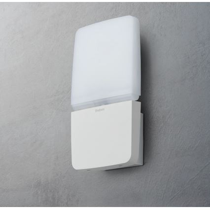 theben - LED Wall-Mounted Floodlight LED/11W/230V White IP55