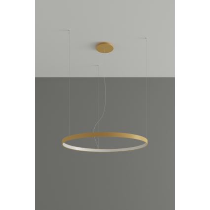 Thoro TH.174 - LED Chandelier on a string RIO LED/50W/230V CRI 90 3000K d. 78 cm gold