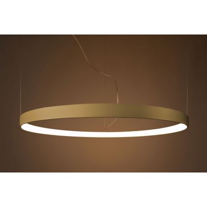 Thoro TH.174 - LED Chandelier on a string RIO LED/50W/230V CRI 90 3000K d. 78 cm gold
