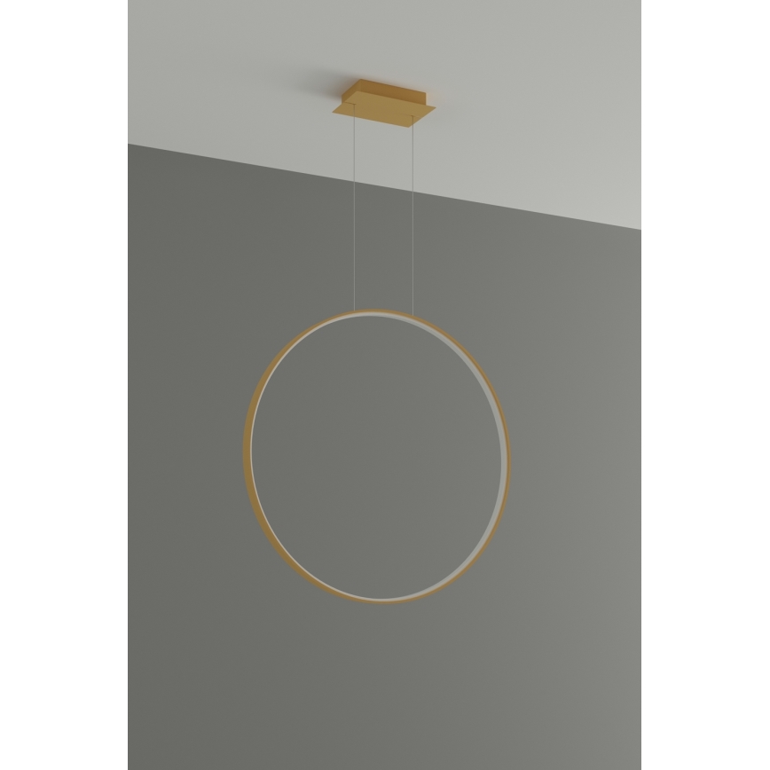 Thoro TH.175 - LED Chandelier on a string RIO LED/50W/230V CRI 90 3000K d. 78 cm gold