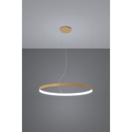 Thoro TH.181 - LED  Chandelier on a string RIO LED /50W/230V CRI 95 4000K d. 78 cm gold