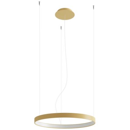 Thoro TH.216 - LED Chandelier on a string RIO LED/30W/230V CRI 90 3000K d. 55 cm gold