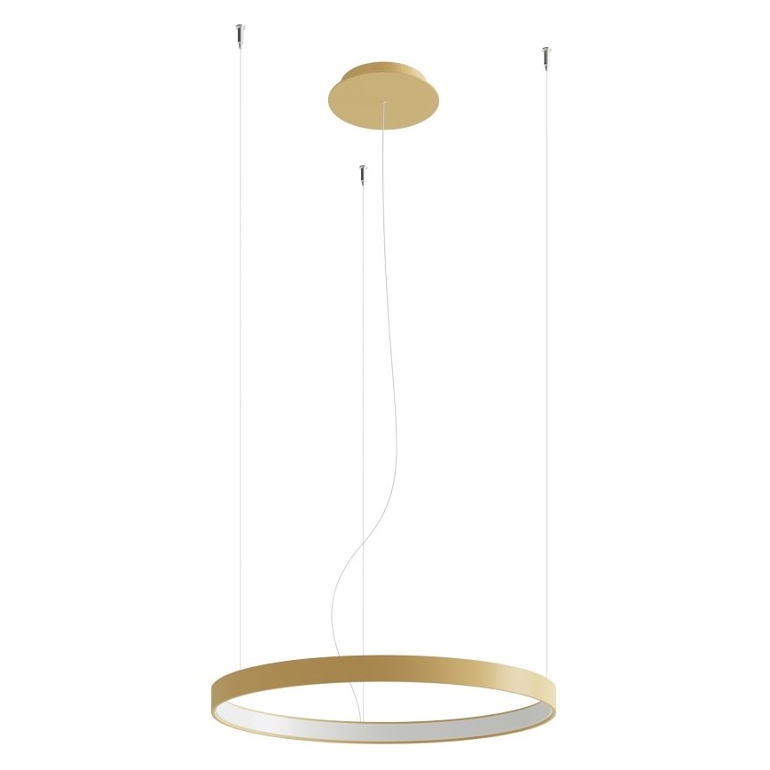 Thoro TH.216 - LED Chandelier on a string RIO LED/30W/230V CRI 90 3000K d. 55 cm gold