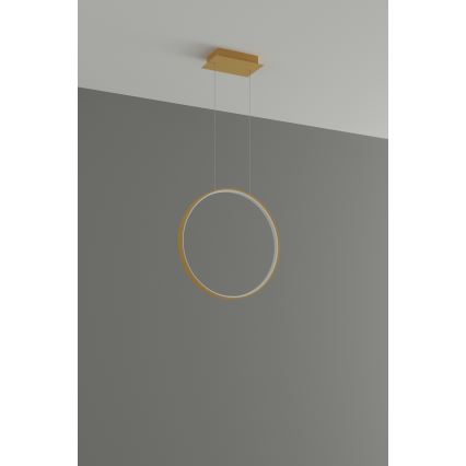 Thoro TH.220 - LED Chandelier on a string RIO LED/30W/230V CRI 90 3000K d. 55 cm gold