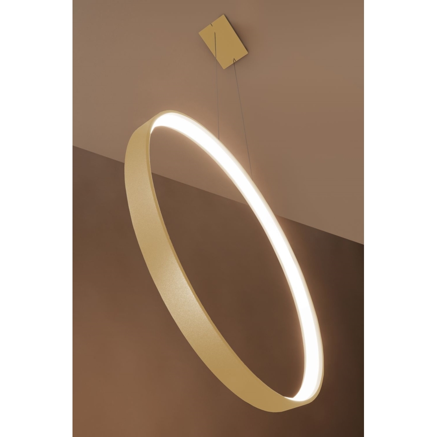 Thoro TH.220 - LED Chandelier on a string RIO LED/30W/230V CRI 90 3000K d. 55 cm gold