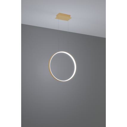 Thoro TH.221 - LED Chandelier on a string RIO LED/30W/230V CRI 95 4000K d. 55 cm gold
