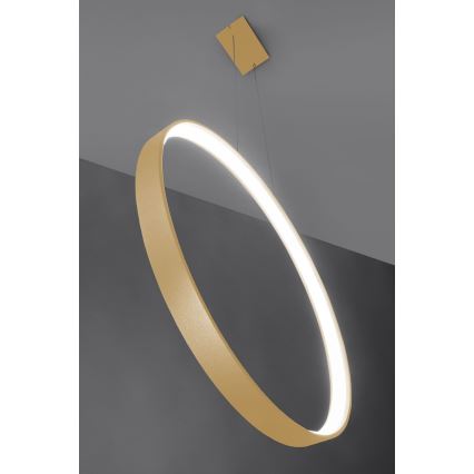 Thoro TH.221 - LED Chandelier on a string RIO LED/30W/230V CRI 95 4000K d. 55 cm gold