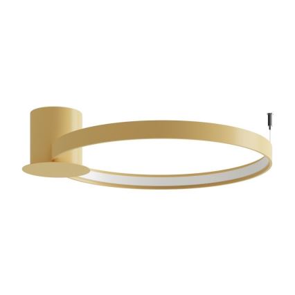 Thoro TH.222 - RIO LED Ceiling Light, 21W / 230V, CRI 98, 3000 K (Warm White), Ø 55 cm, Gold finish