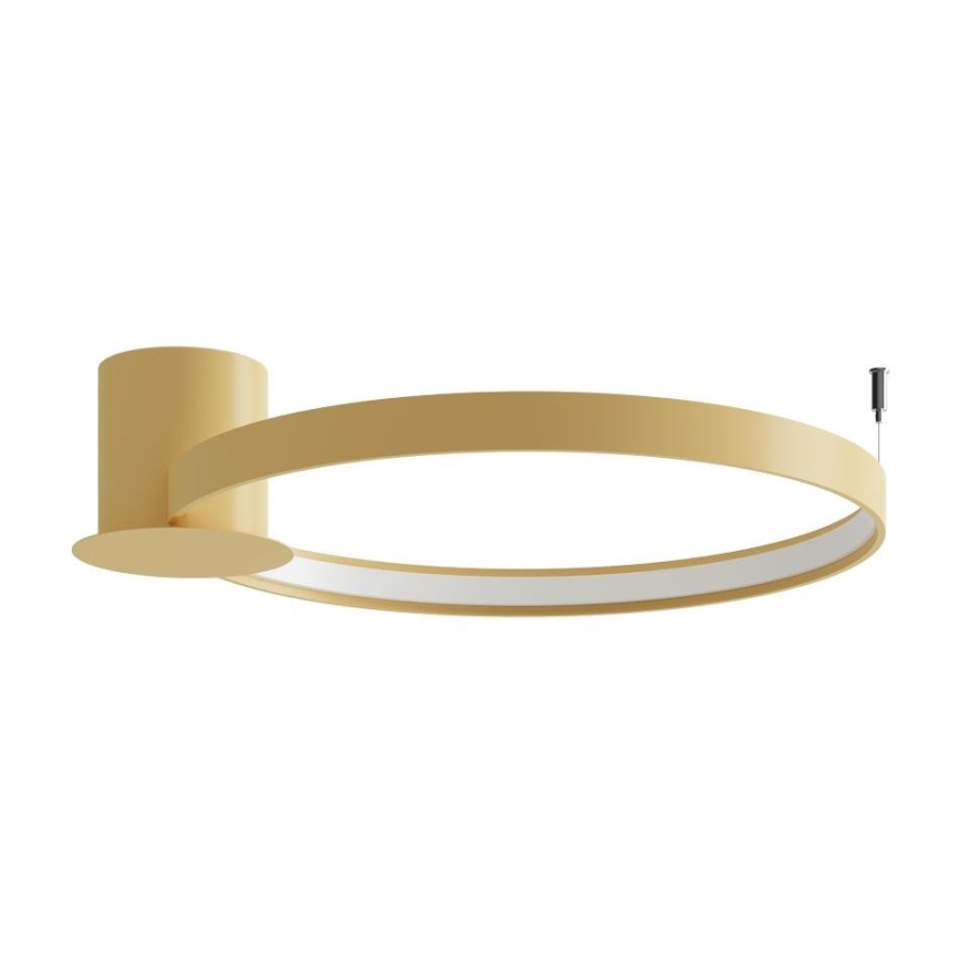 Thoro TH.222 - RIO LED Ceiling Light, 21W / 230V, CRI 98, 3000 K (Warm White), Ø 55 cm, Gold finish