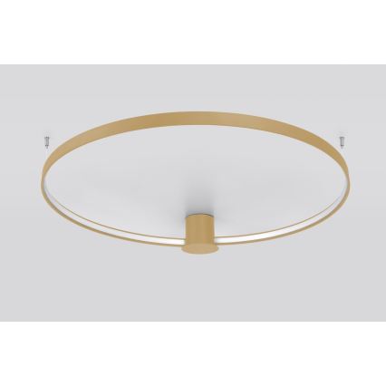 Thoro TH.222 - RIO LED Ceiling Light, 21W / 230V, CRI 98, 3000 K (Warm White), Ø 55 cm, Gold finish