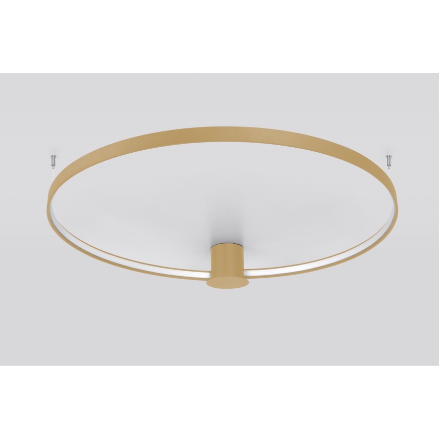Thoro TH.222 - RIO LED Ceiling Light, 21W / 230V, CRI 98, 3000 K (Warm White), Ø 55 cm, Gold finish