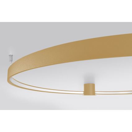 Thoro TH.222 - RIO LED Ceiling Light, 21W / 230V, CRI 98, 3000 K (Warm White), Ø 55 cm, Gold finish