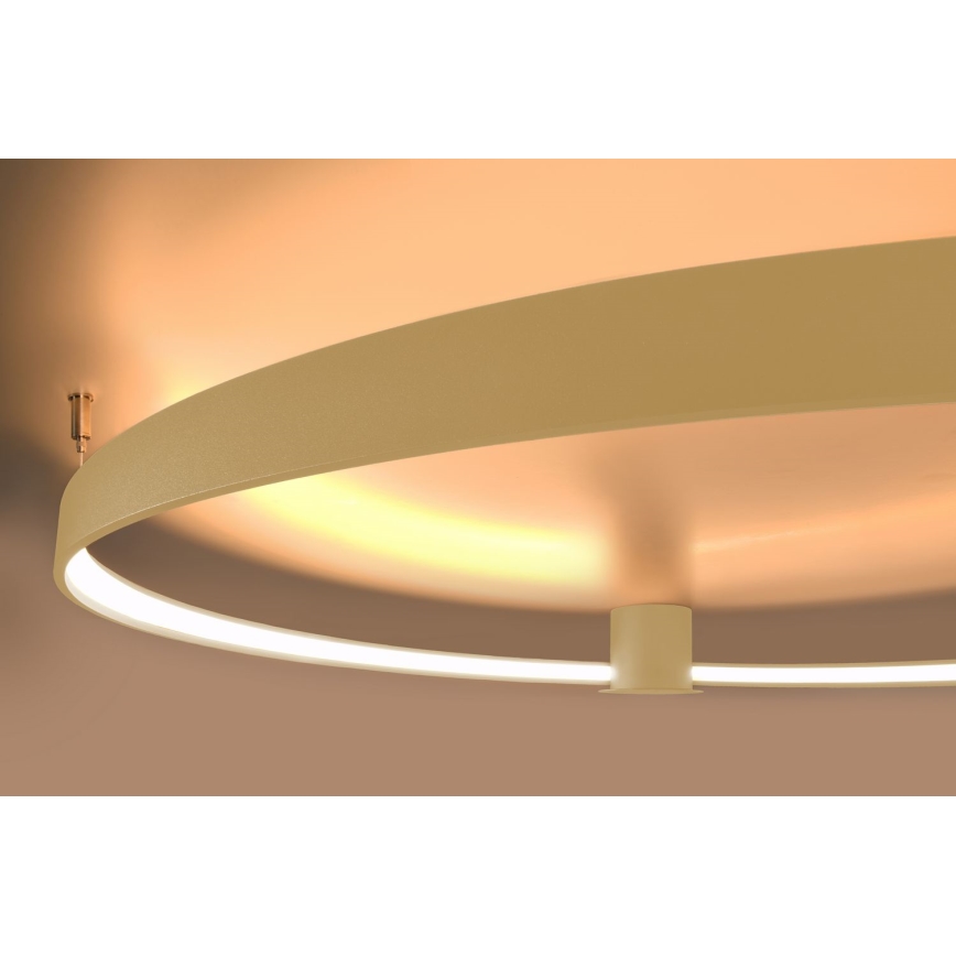 Thoro TH.222 - RIO LED Ceiling Light, 21W / 230V, CRI 98, 3000 K (Warm White), Ø 55 cm, Gold finish