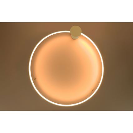 Thoro TH.222 - RIO LED Ceiling Light, 21W / 230V, CRI 98, 3000 K (Warm White), Ø 55 cm, Gold finish