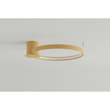 Thoro TH.223 - LED Ceiling light RIO LED/30W/230V CRI 95 4000K d. 55 cm gold