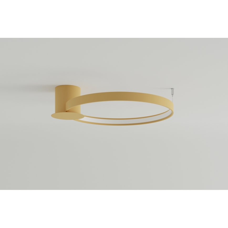 Thoro TH.223 - LED Ceiling light RIO LED/30W/230V CRI 95 4000K d. 55 cm gold