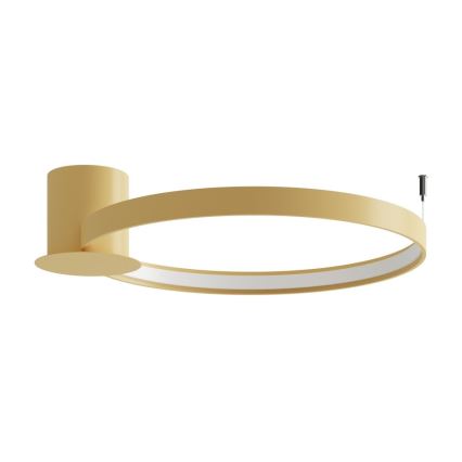 Thoro TH.223 - LED Ceiling light RIO LED/30W/230V CRI 95 4000K d. 55 cm gold