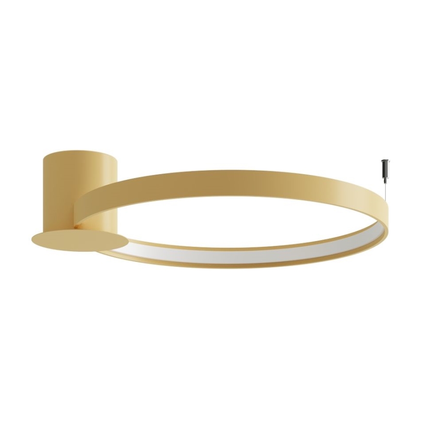 Thoro TH.223 - LED Ceiling light RIO LED/30W/230V CRI 95 4000K d. 55 cm gold