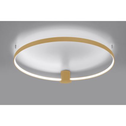Thoro TH.223 - LED Ceiling light RIO LED/30W/230V CRI 95 4000K d. 55 cm gold