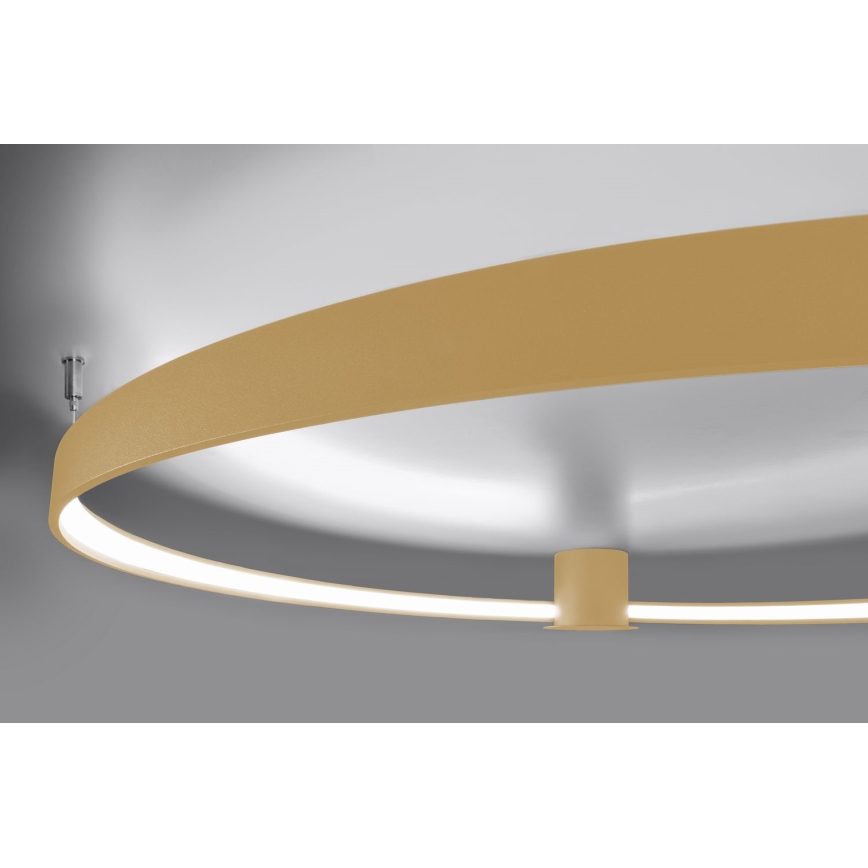 Thoro TH.223 - LED Ceiling light RIO LED/30W/230V CRI 95 4000K d. 55 cm gold
