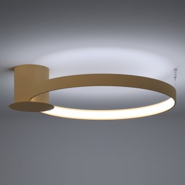 Thoro TH.223 - RIO LED Ceiling Light LED/30W/230V CRI 98 4000K Ø 55 cm gold