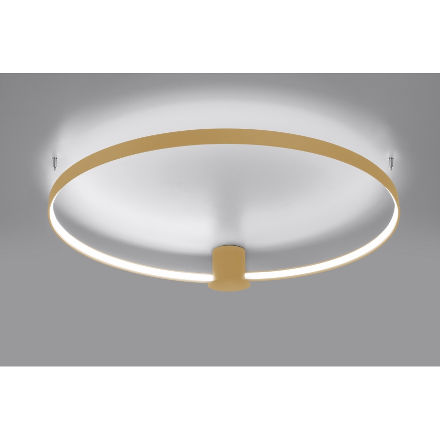 Thoro TH.223 - RIO LED Ceiling Light LED/30W/230V CRI 98 4000K Ø 55 cm gold