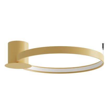 Thoro TH.223 - RIO LED Ceiling Light LED/30W/230V CRI 98 4000K Ø 55 cm gold