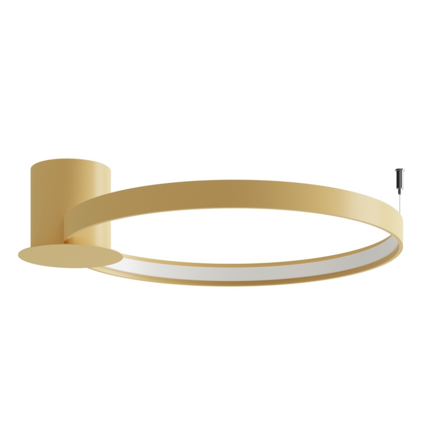 Thoro TH.223 - RIO LED Ceiling Light LED/30W/230V CRI 98 4000K Ø 55 cm gold