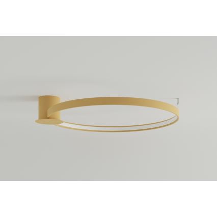 Thoro TH.224 - LED Ceiling light RIO LED/50W/230V CRI 90 3000K d. 78 cm gold