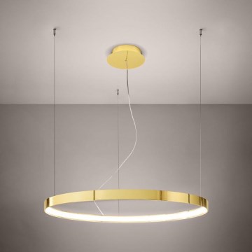 Thoro TH.246 - LED Chandelier on a string RIO LED/50W/230V CRI 90 3000K d. 78 cm gold
